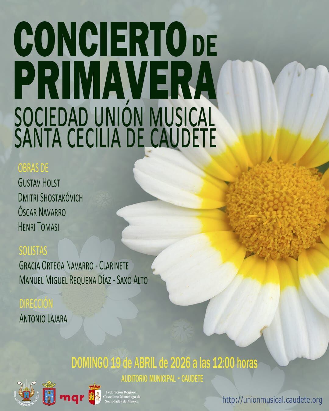 Cartel del concierto