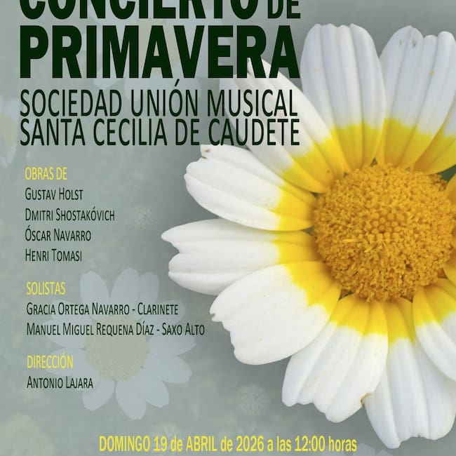 Cartel del concierto