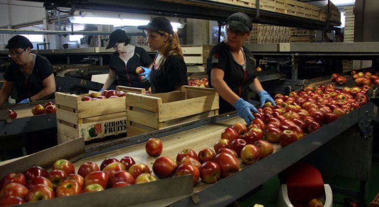 Trabajadora del sector alimentario / ACN