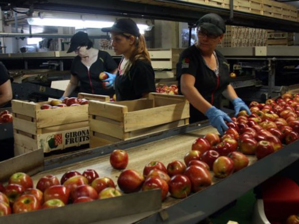 Adecco busca a 100 personas para trabajar en el sector alimentario en Málaga