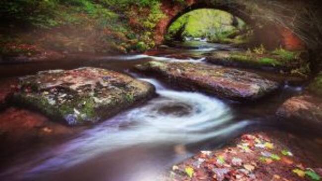 1º Premio: "Otoñeando en el Puente Rojadillo, Valberzoso"