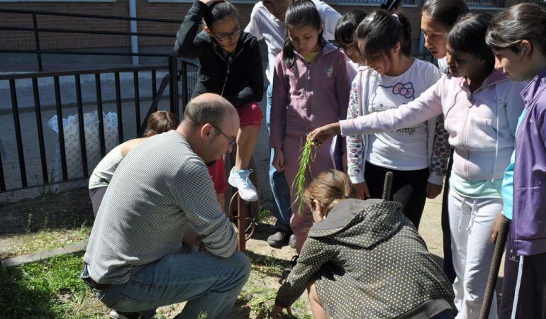 En el taller Agricultura sostenible en el aula&#039; los estudiantes aprenderán los misterios de un huerto o como hacer compostaje