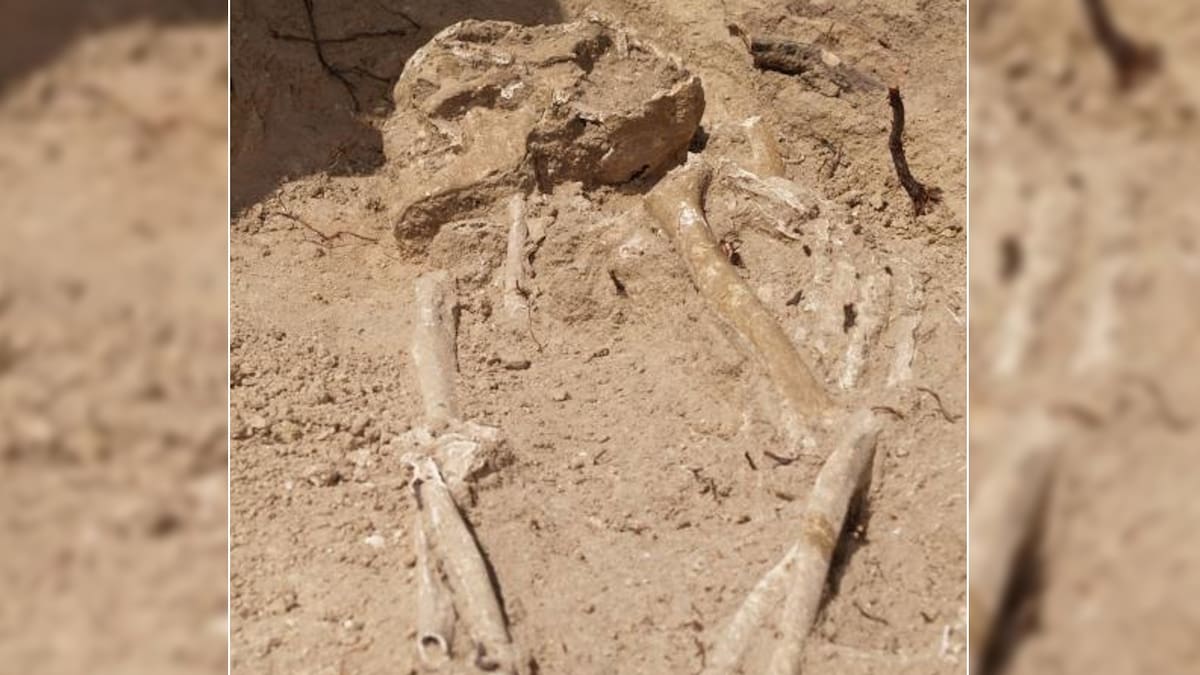 Un enterramiento medieval en dolmen de Menga confirma la mezcla ibérica y norteafricana