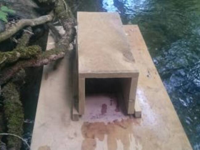 Una de las plataformas usadas para capturar visones