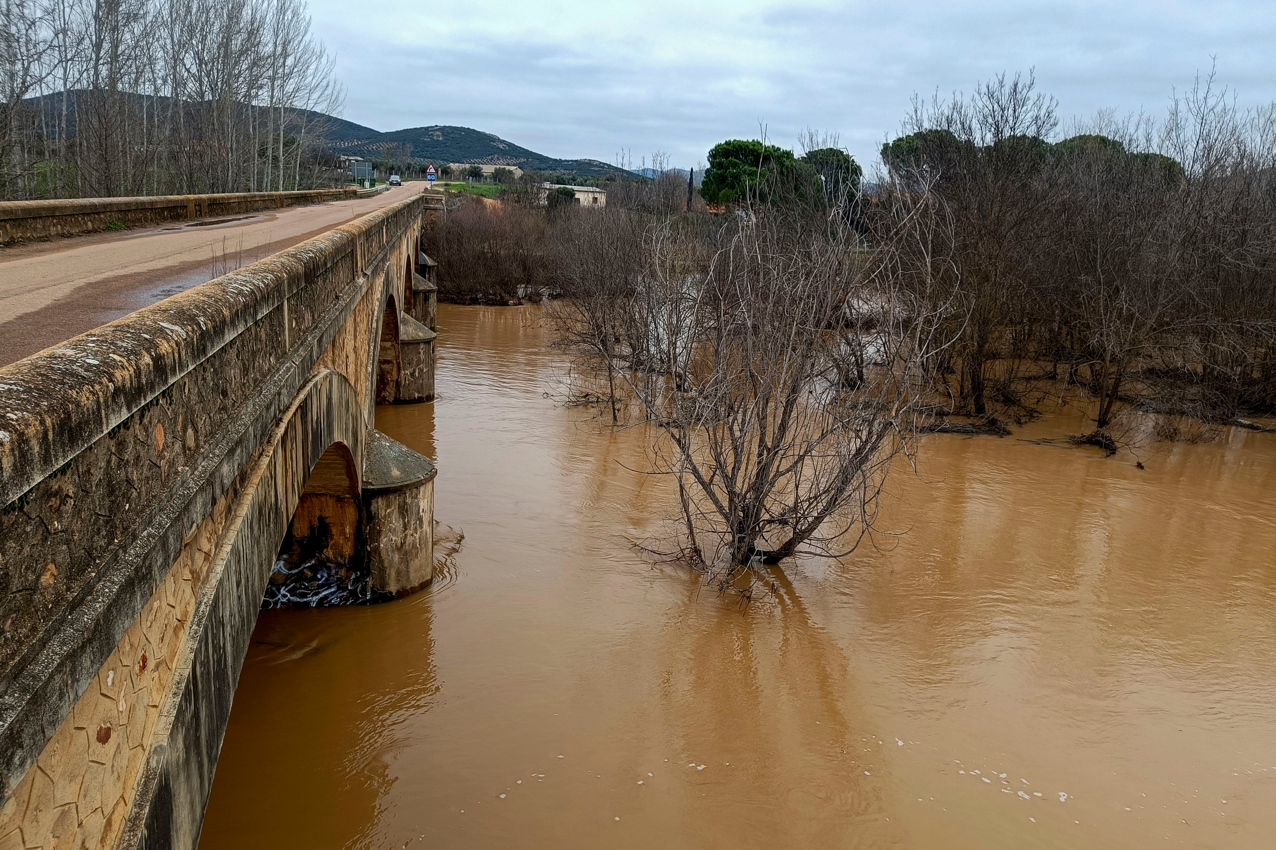 PIEDRABUENA (CIUDAD REAL), 20/01/2024.- Crecida del río Bullaque a su paso por Piedrabuena (Ciudad Real). Las lluvias que han dejado a su paso los frentes asociados a las borrascas Hipólito, Irene y Juan han provocado la crecida de los ríos Bullaque y Guadiana en Ciudad Real, que en el caso del primero ha alcanzado este sábado su máximo nivel, mientras que el Guadiana se prevé que ocurra en las próximas horas.EFE/Beldad
