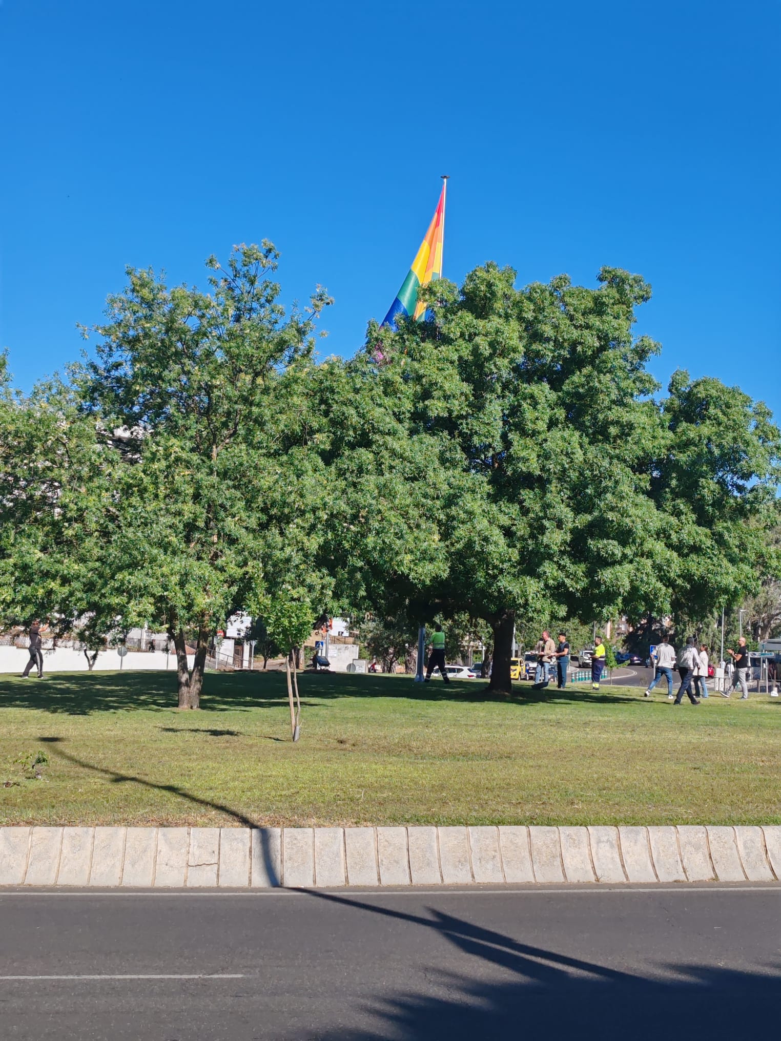la bandera multicolor luce ya en la rotonda de la Capitalidad emeritense