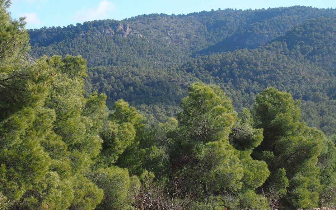 Imagen de la Sierra de Salinas