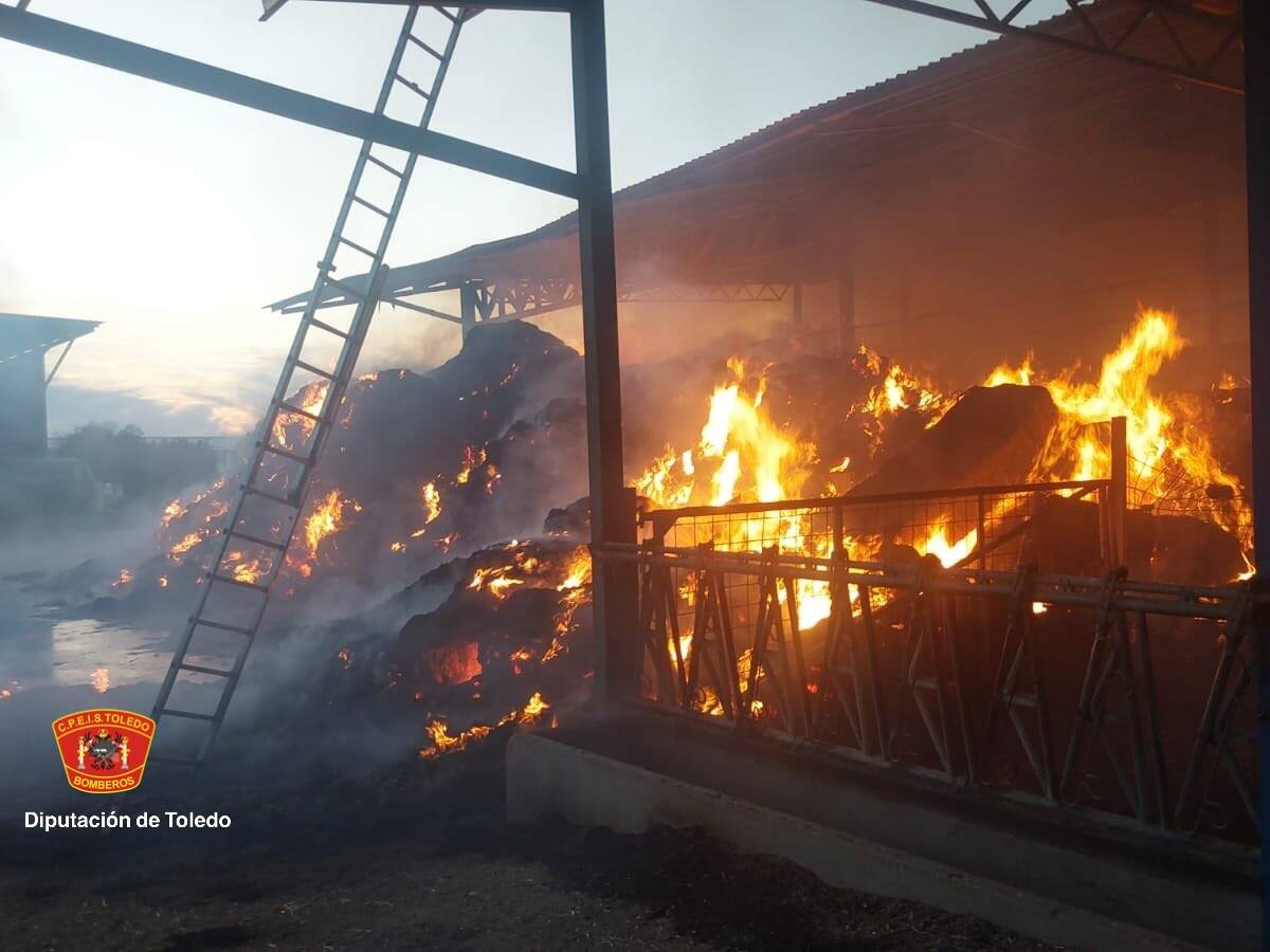 16 terneros muertos y 120.000 kg de paja quemada por un incendio en una vaquería de Talavera la Nueva