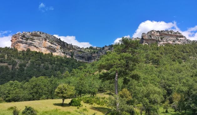 El recorrido nos lleva por una dehesa boyal donde pastaban bueyes y caballerías.