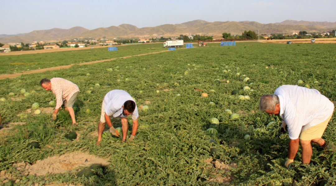 UPA recuerda medidas básicas a los profesionales del campo que corren verdaderos riesgos estos días en su trabajo