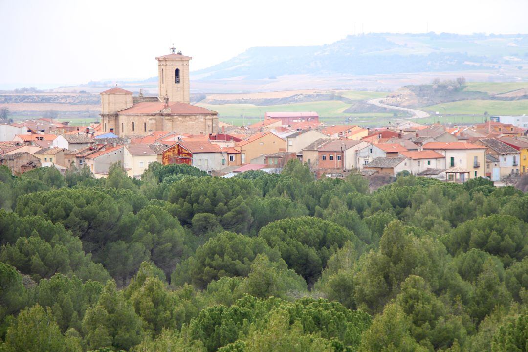 Pesquera de Duero