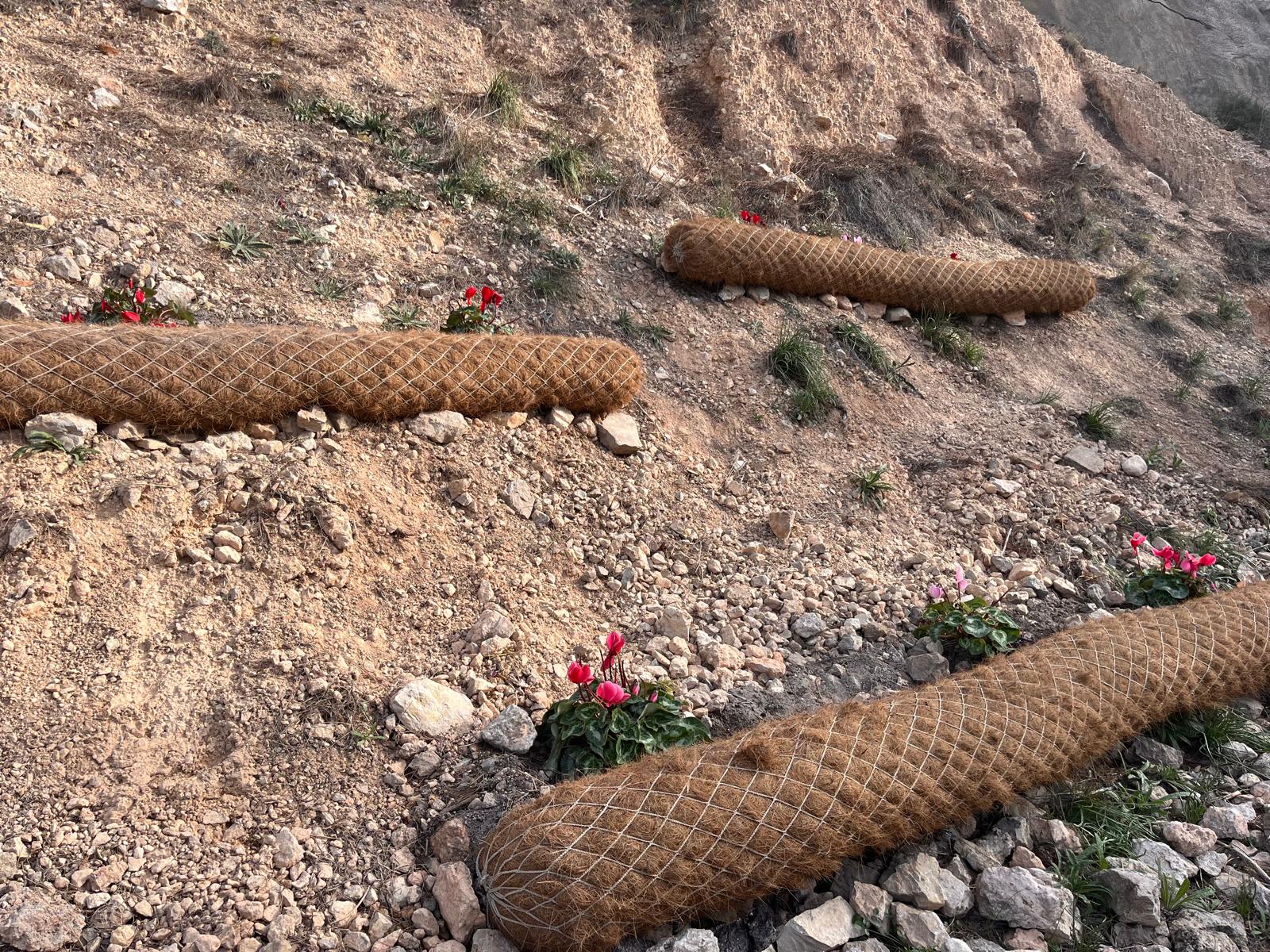 Zona de Las Cruces. Villena