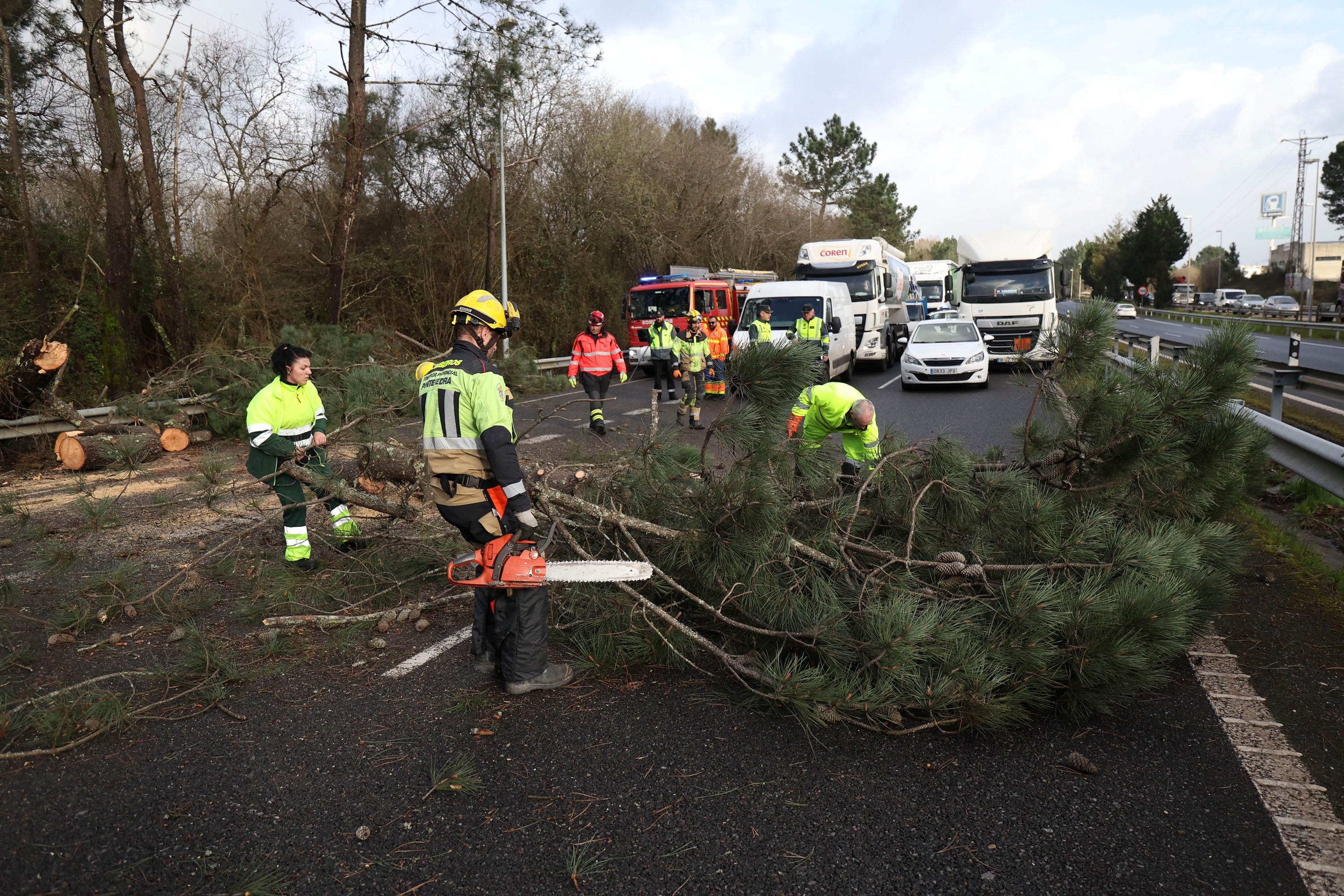  La autovía A-55  cerrada completamente al tráfico en la mañana de este miércoles a la altura de O Porriño a causa de la caída de un árbol sobre una furgoneta. EFE/Sxenick