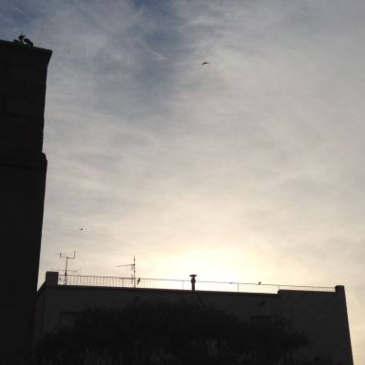 Dia assolellat amb l’estiu a la vora