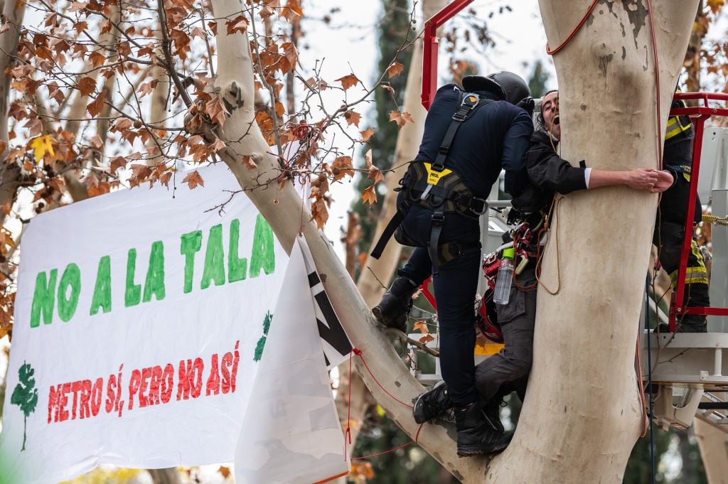 Un activista climático, encaramado a un árbol para protestar contra la tala de árboles en Madrid.