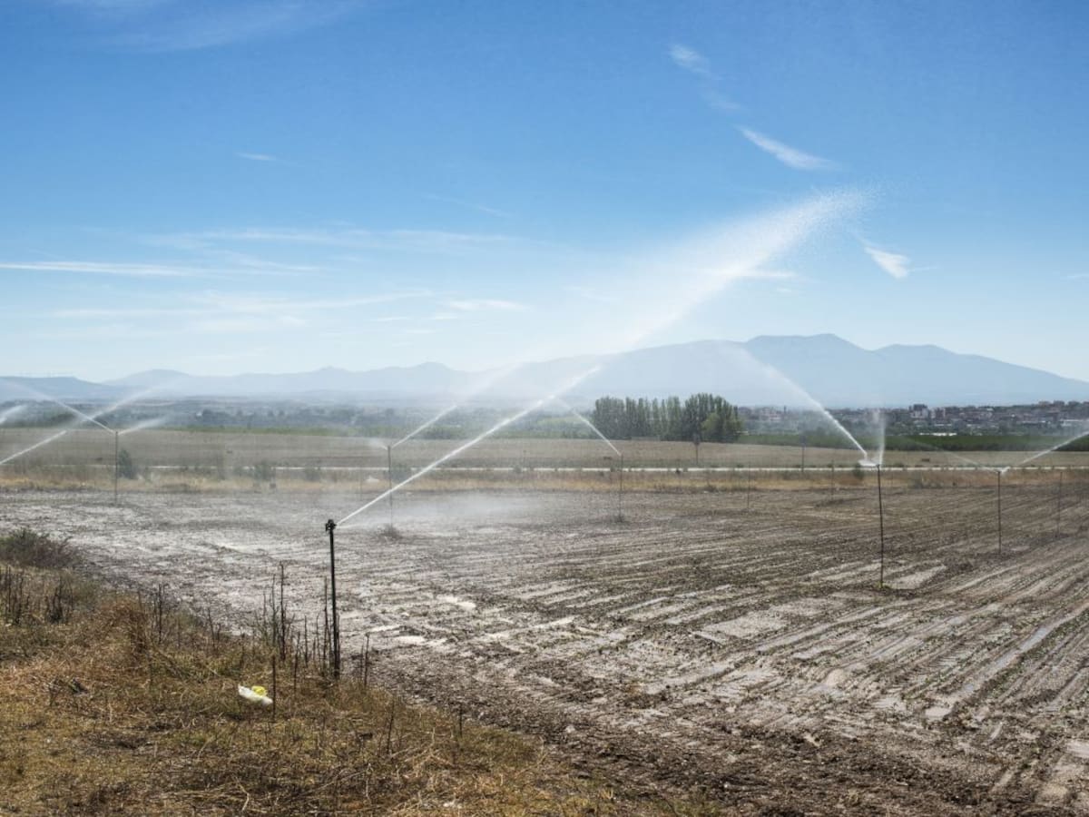 COAG recuerda que hay un mes para solicitar las ayudas al suministro de agua en explotaciones afectadas por sequía