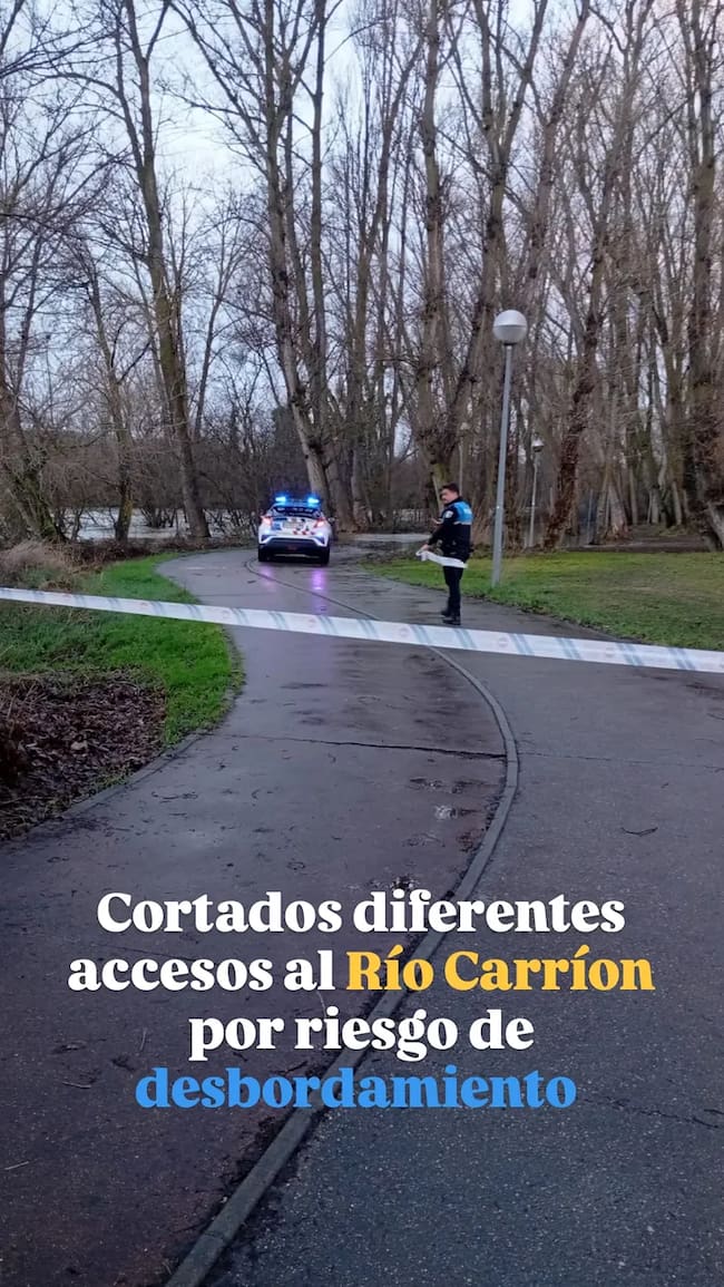 Río Carrión a su paso por la capital