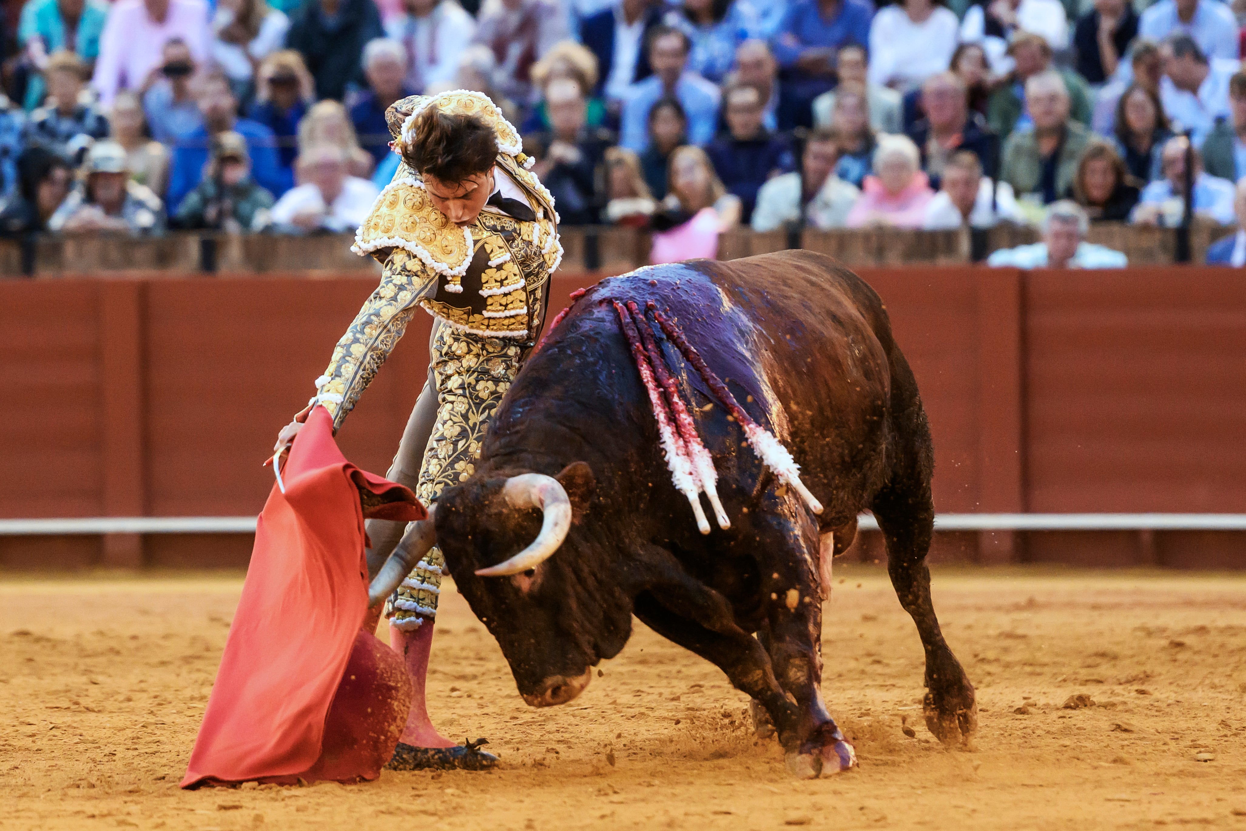 Roca Rey en la corrida de la Feria de San Miguel en La Maestranza de Sevilla. EFE/Raúl Caro