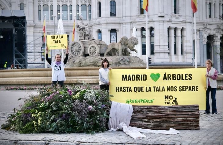 Greenpeace &quot;regala&quot; un ramo de boda de 4 metros a Almeida confeccionado con árboles talados en Madrid