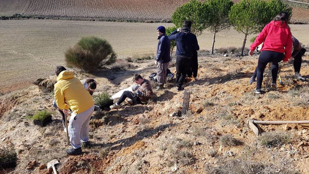 Los voluntarios en plena tarea de reforestación en la ladera de Santa María.