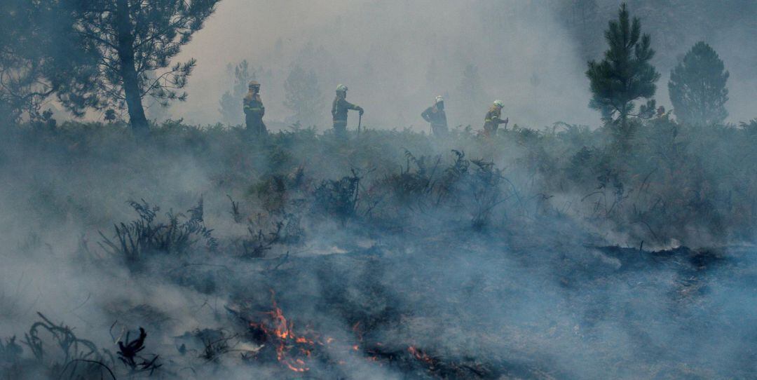 La previsión de lluvias mejora la perspectiva de los servicios de extinción