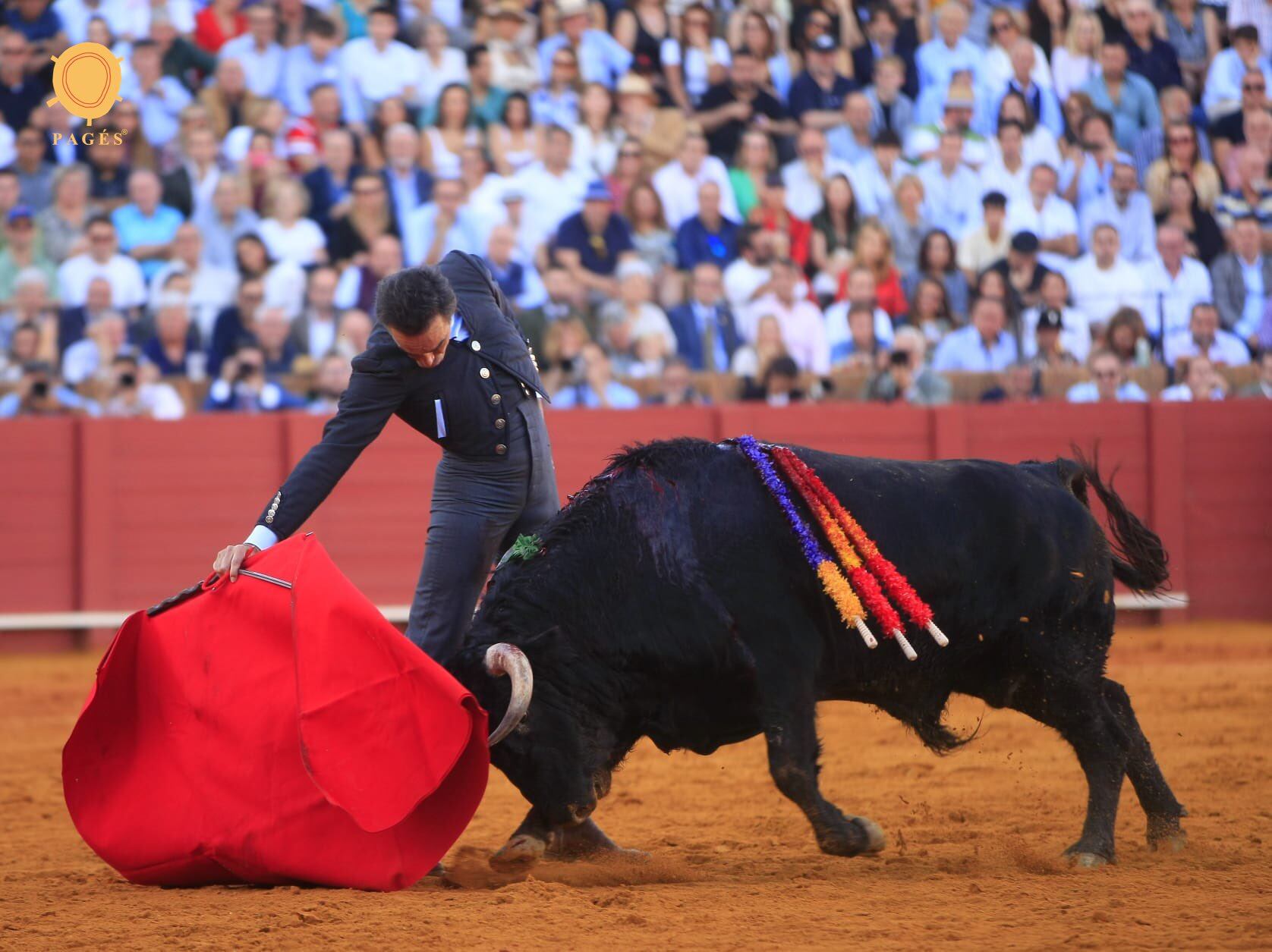 El Cid le cortó las dos orejas a este ejemplar de Fuente Ymbro