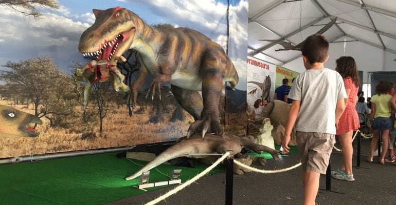 Piezas de la exposición de dinosaurios animatrónicos.