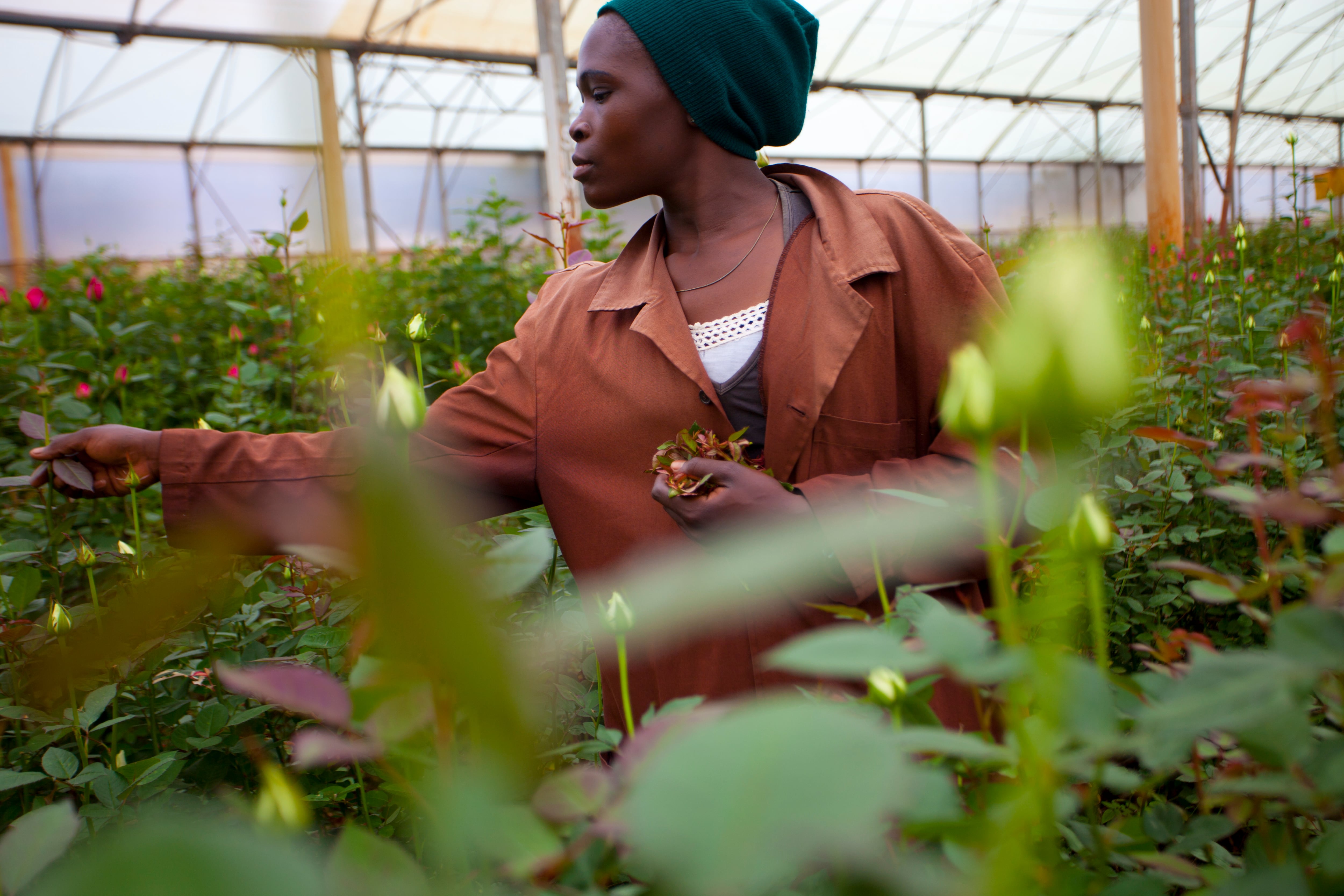 Mujer trabajadora en Kenya