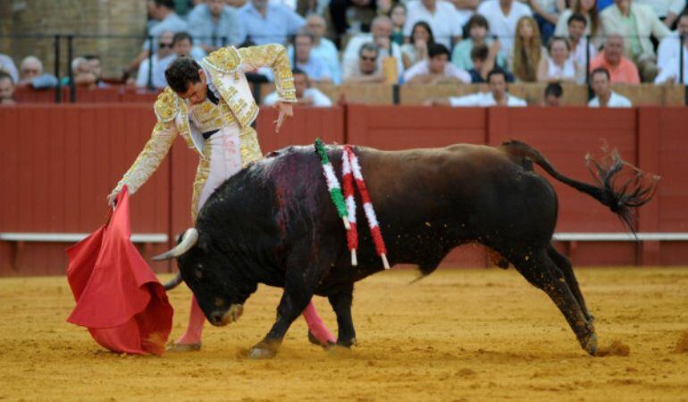 El torero de Los Palacios Pepe Moral en un momento de su actuación el día del Corpus