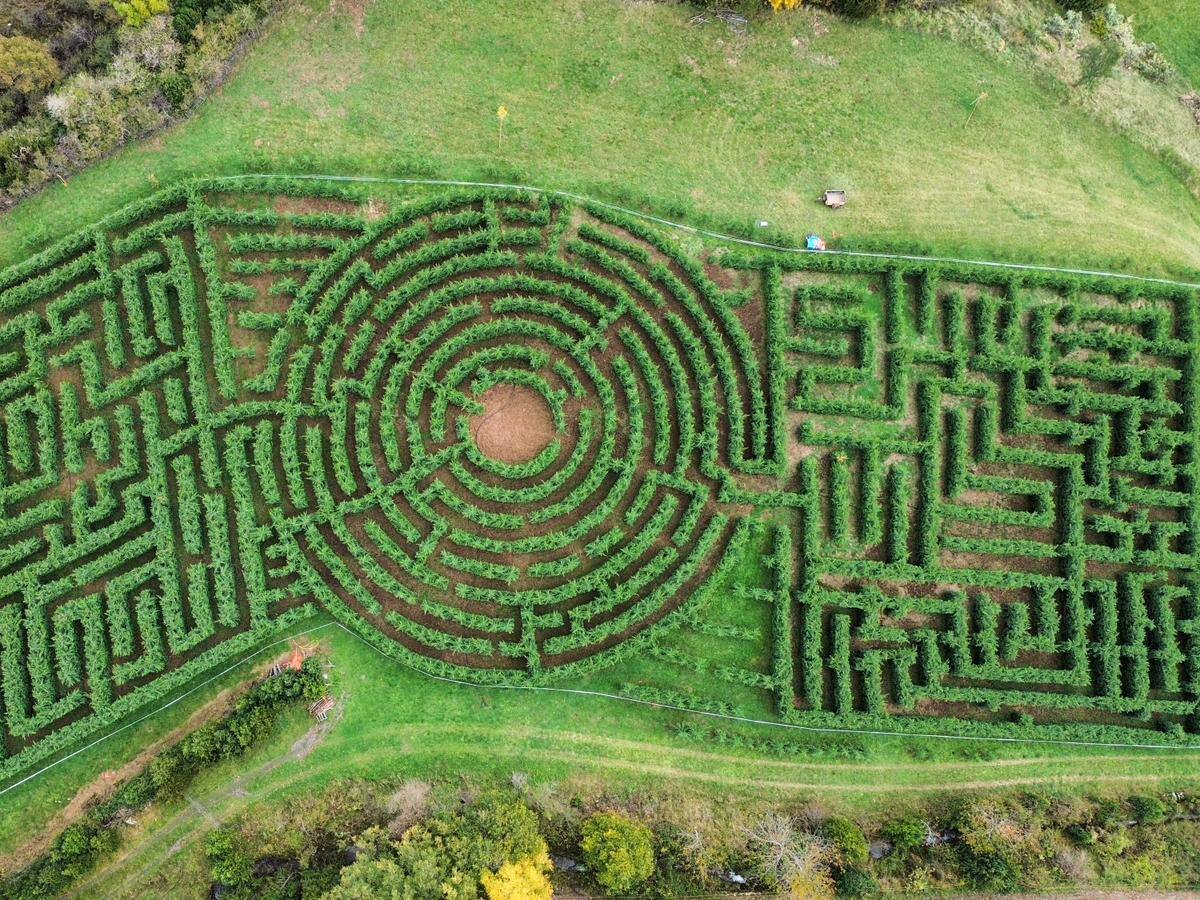 El Laberinto de los Pirineos ( 12/4/2024)