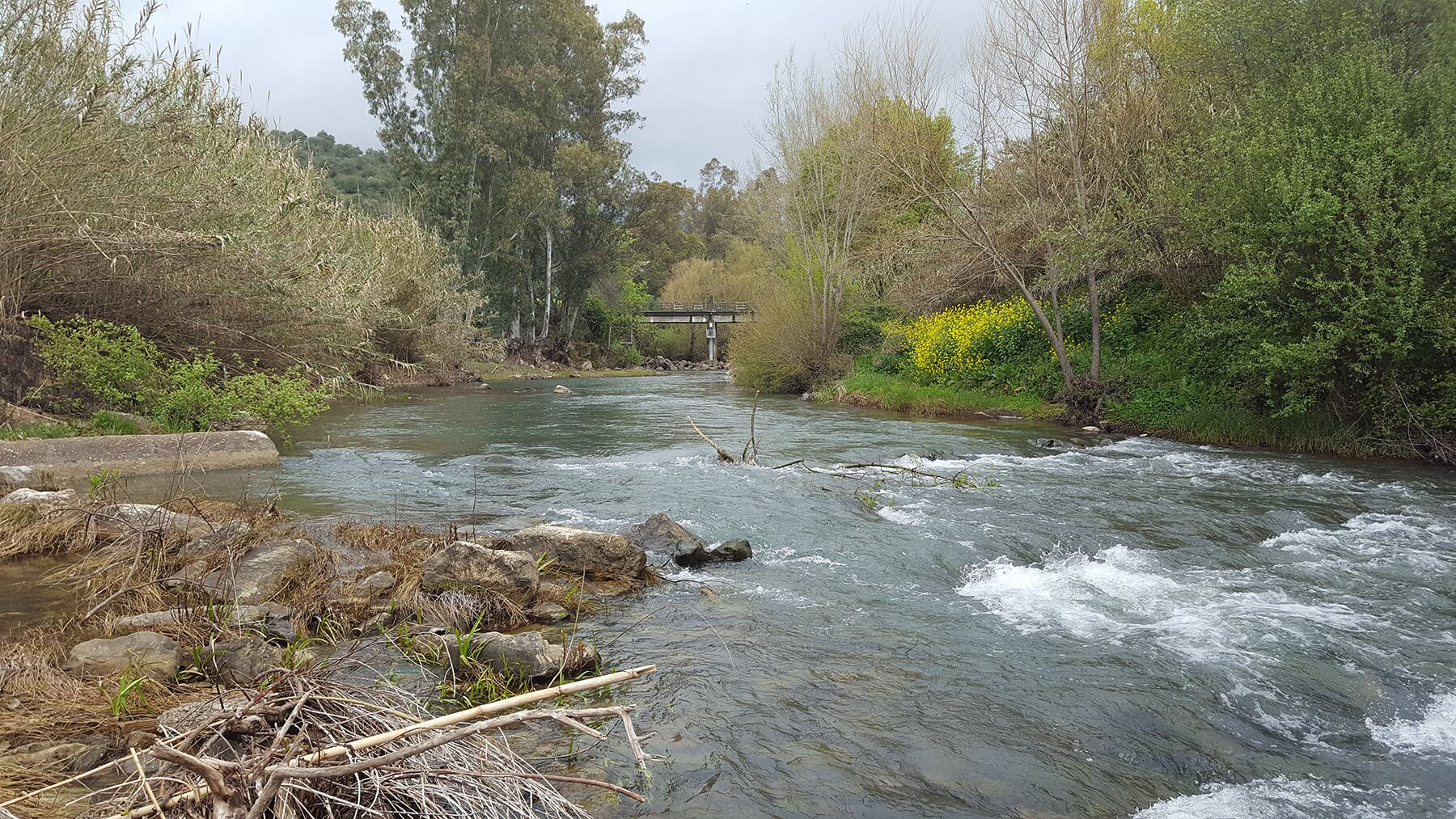 Rio Guadiaro a su paso por Cortes de la Frontera