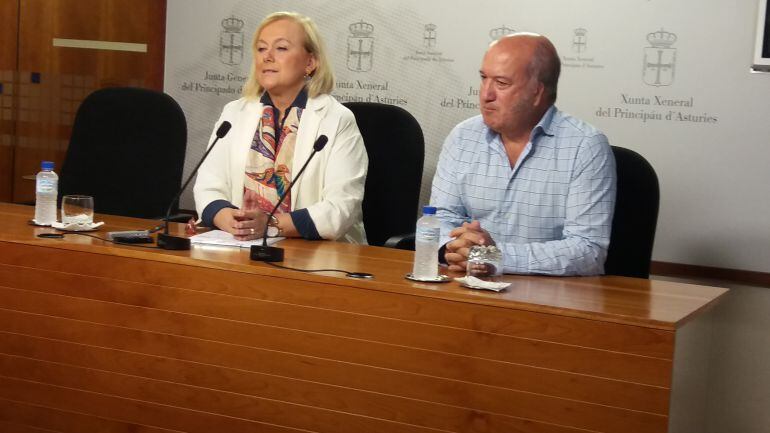 La presidenta del PP, Mercedes Fernández, junto al diputado Luis Venta en la JGPA