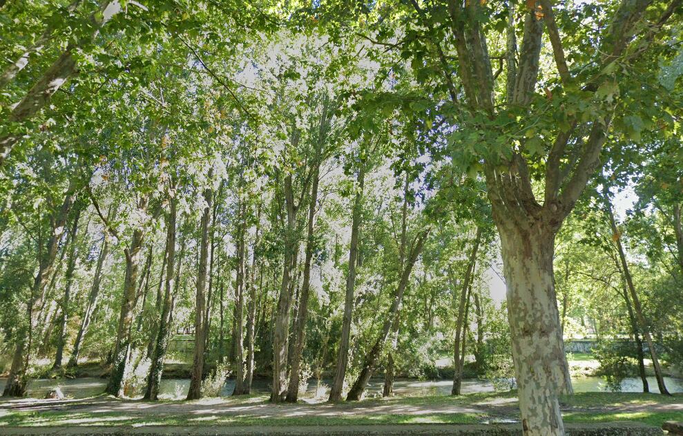 El Ayuntamiento de Burgos para instalar una pasarela sobre el Arlanzón para facilitar los accesos en la festividad de El Curpillos