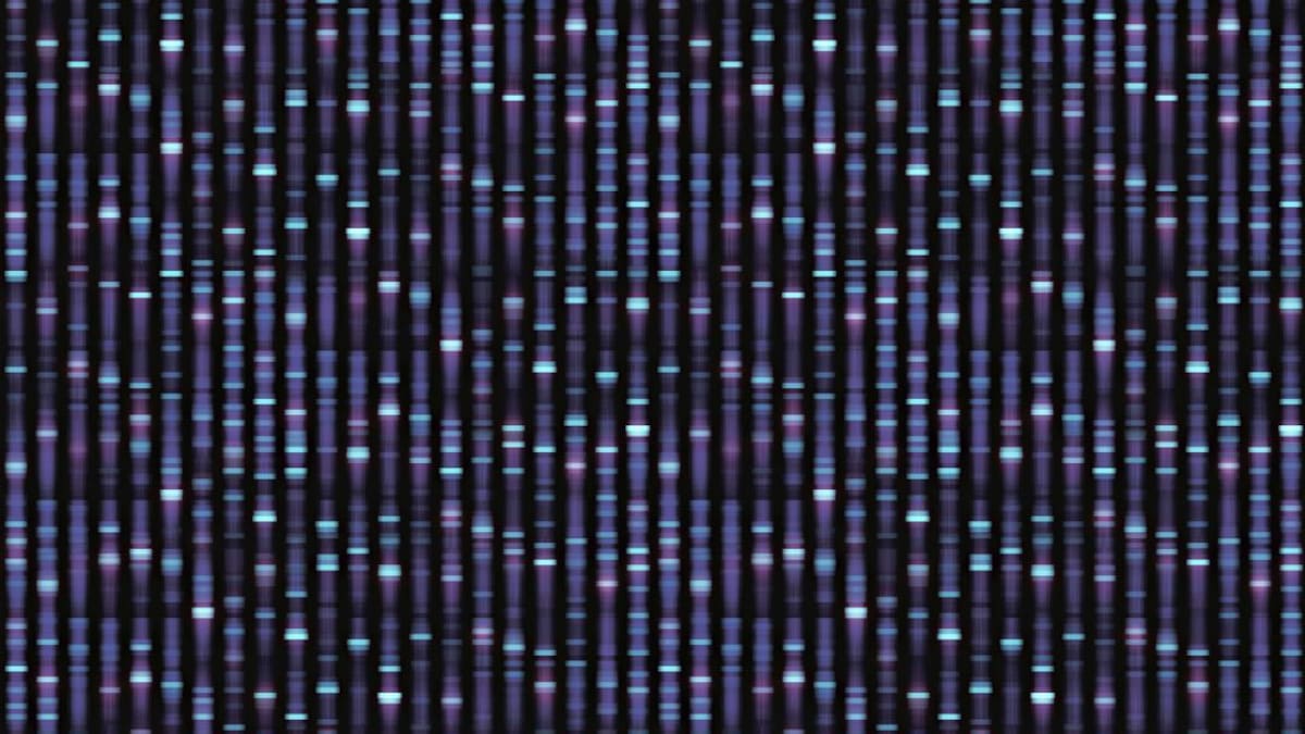 Juan Luis Fernández sobre el reposicionamiento medicamentos para hacerte frente al coronavirus