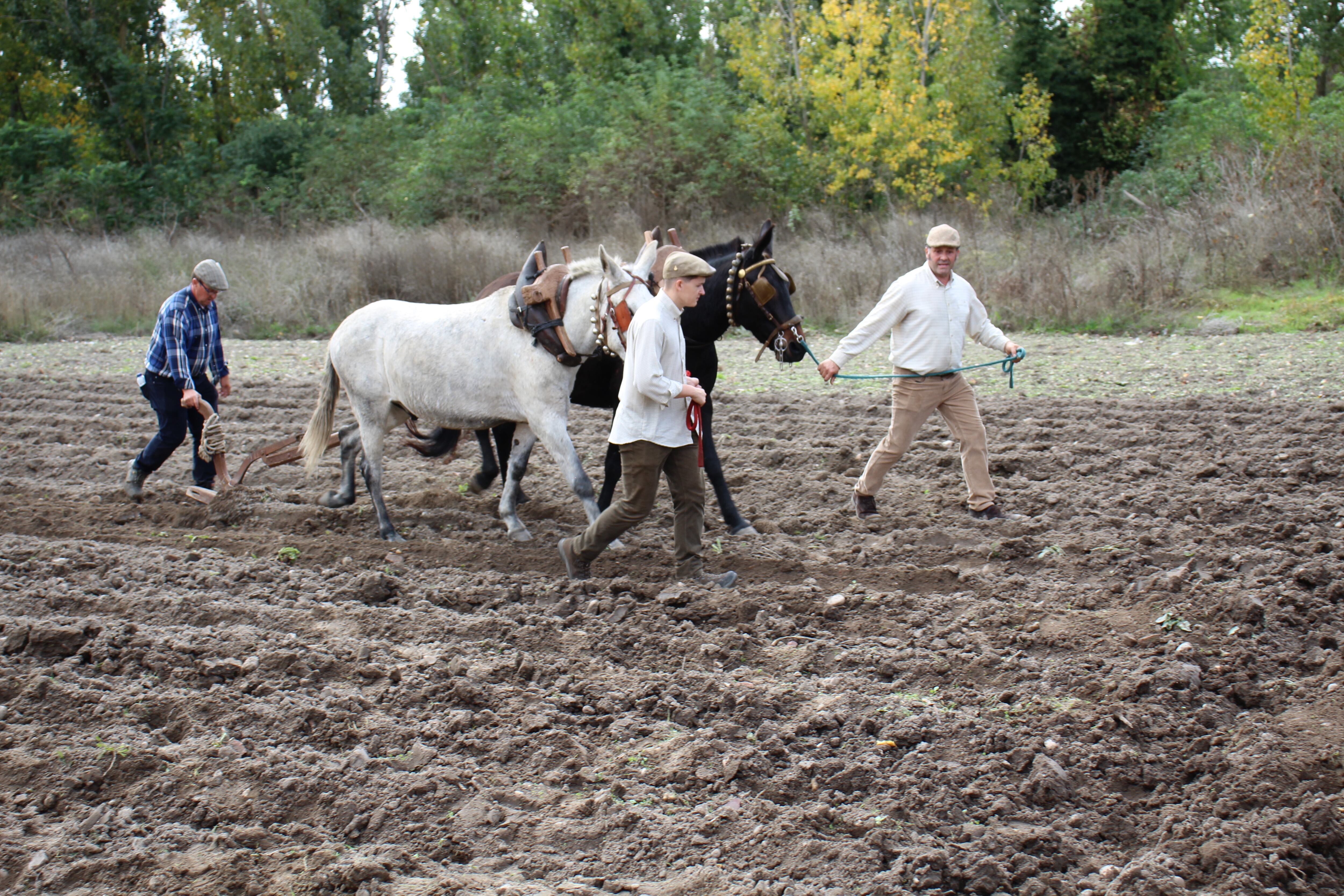 Los oficios tradicionales se recuperan en Aldeanueva, en la localidad vallisoletana de Villanueva de Duero