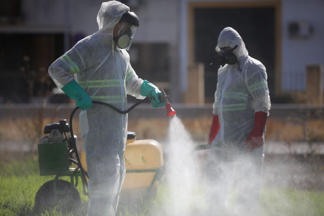 Tareas de fumigación en Coria del Río contra los mosquitos que propagan el virus del Nilo