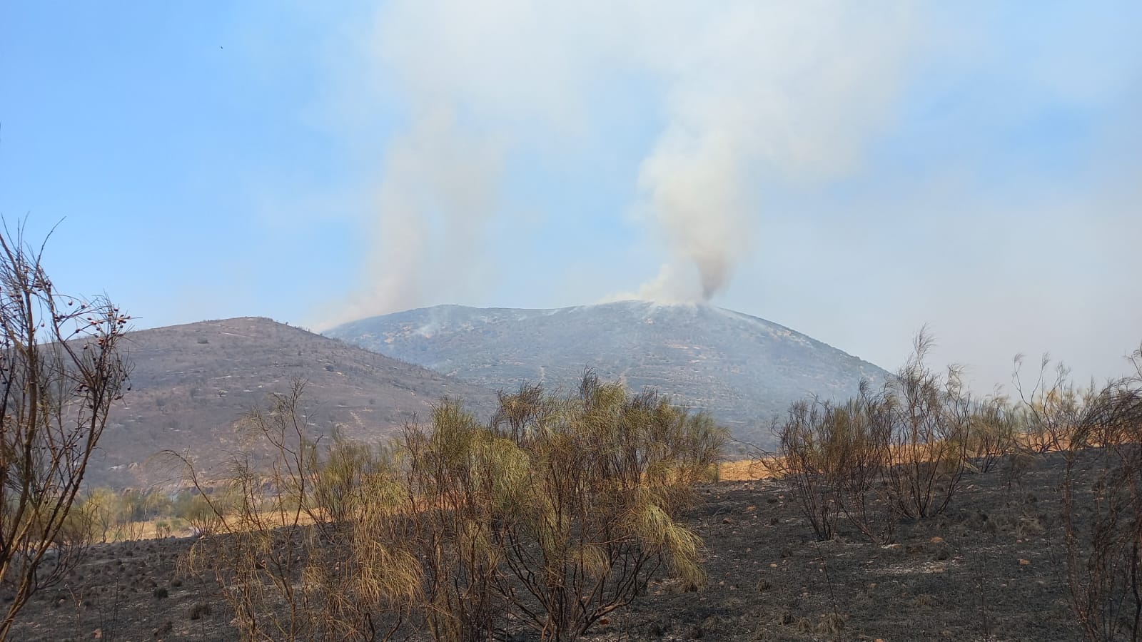 Incendio forestal en el término municipal de La Estrella (Toledo)