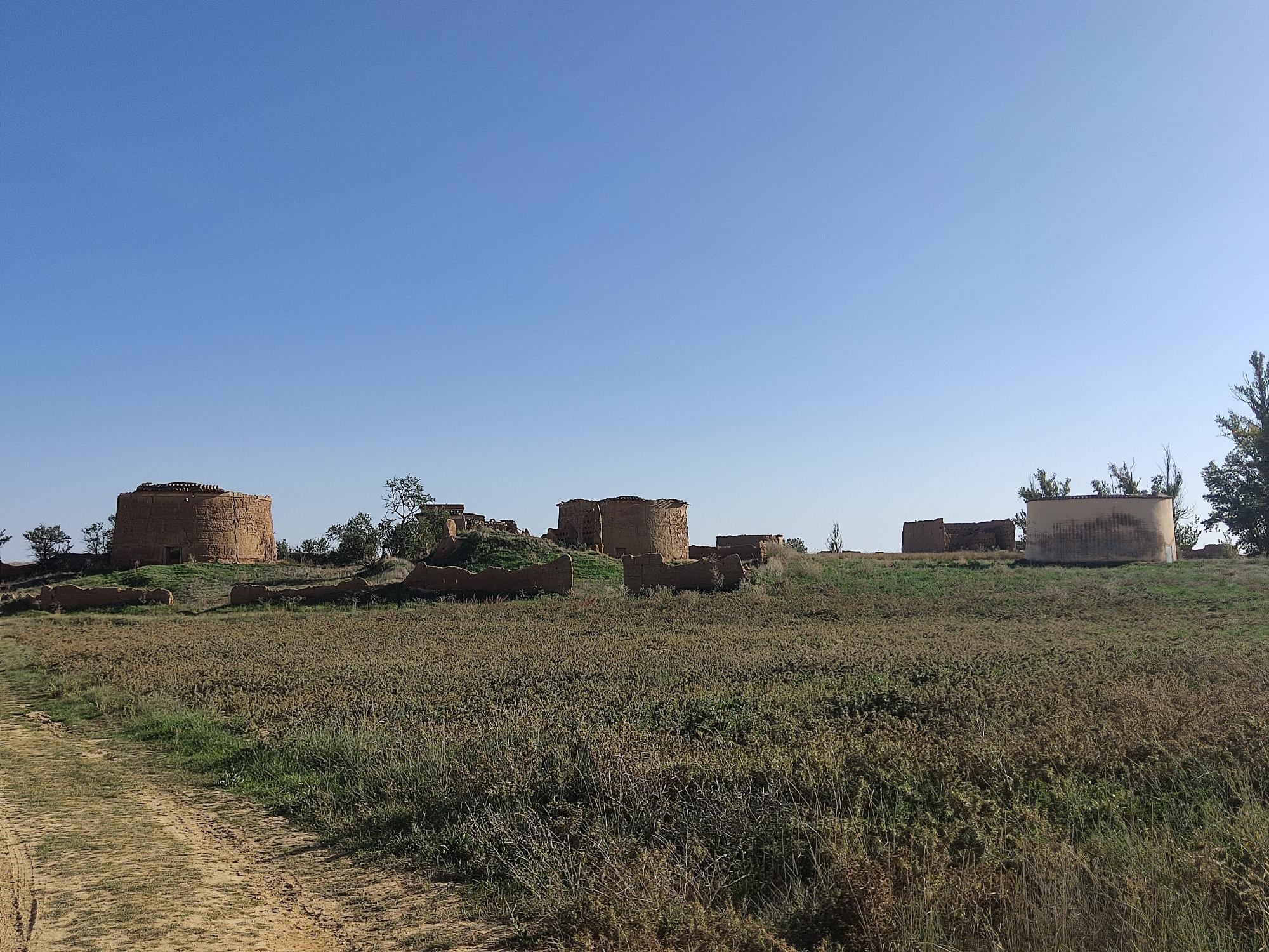 Palomares de Guaza de Campos (Palencia)