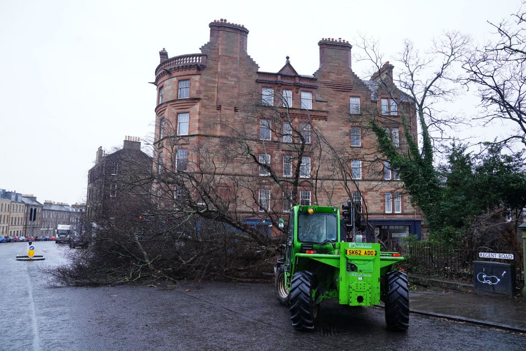 Un árbol caído por por la tormenta atlántica Eowyn en Regent Road en Edimburgo (Escocia).