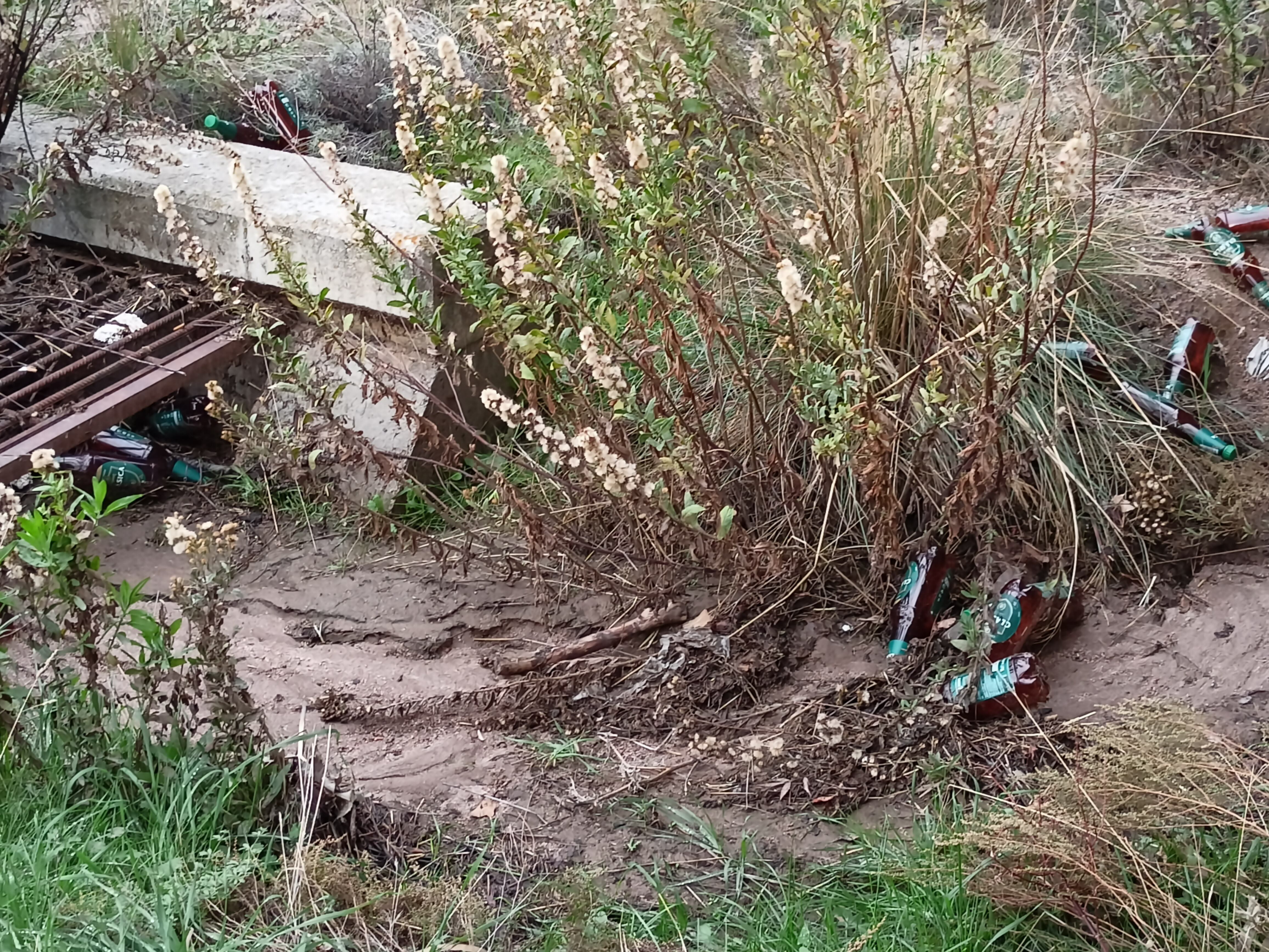 Residuos en el entorno de Fuentes Claras