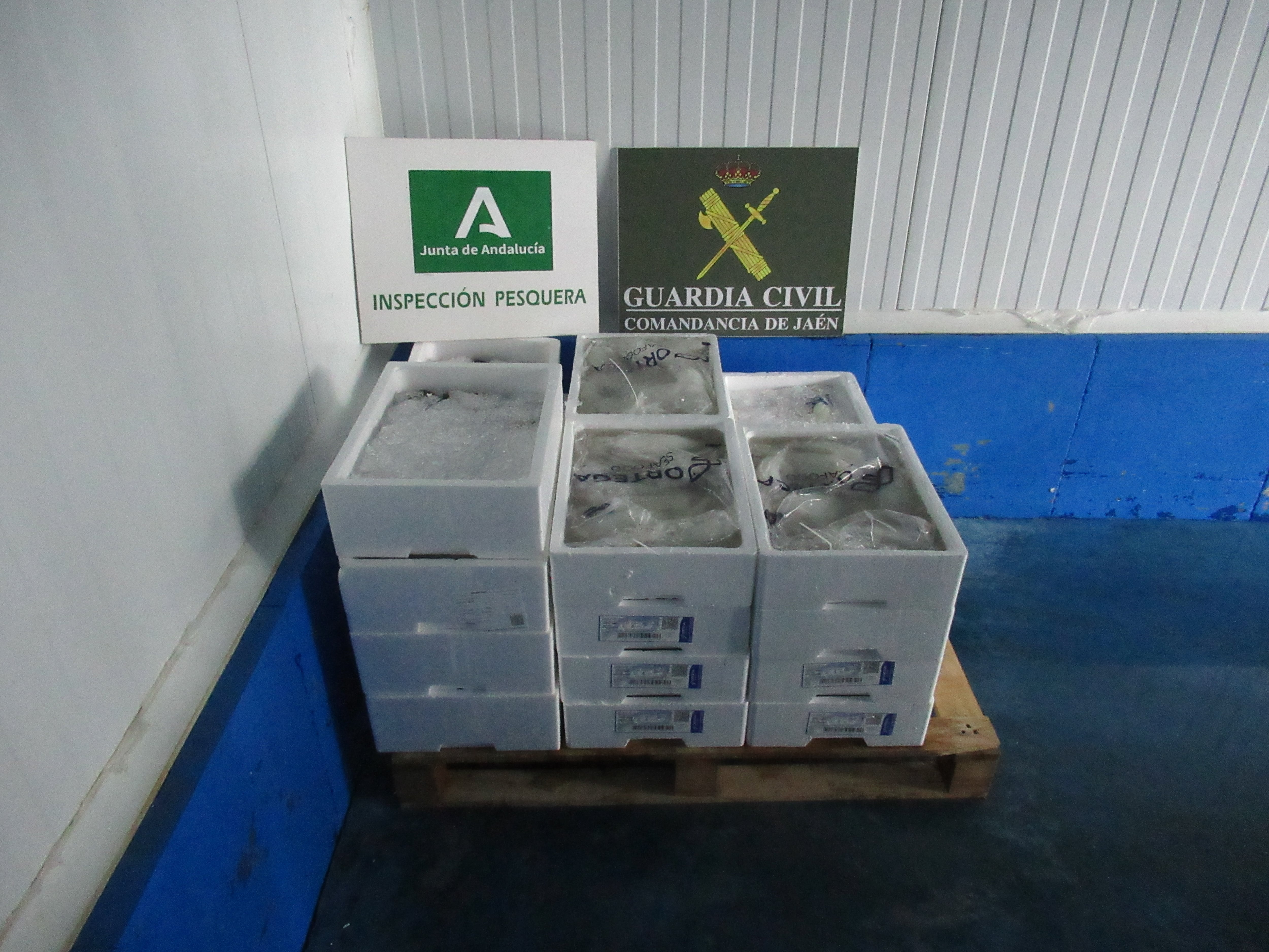 La Guardia Civil ha intervenido 107,81 kilogramos de productos pesqueros caducados en las instalaciones de una distribuidora en Úbeda