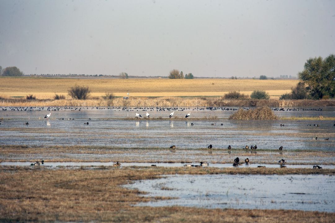 Laguna de la Nava