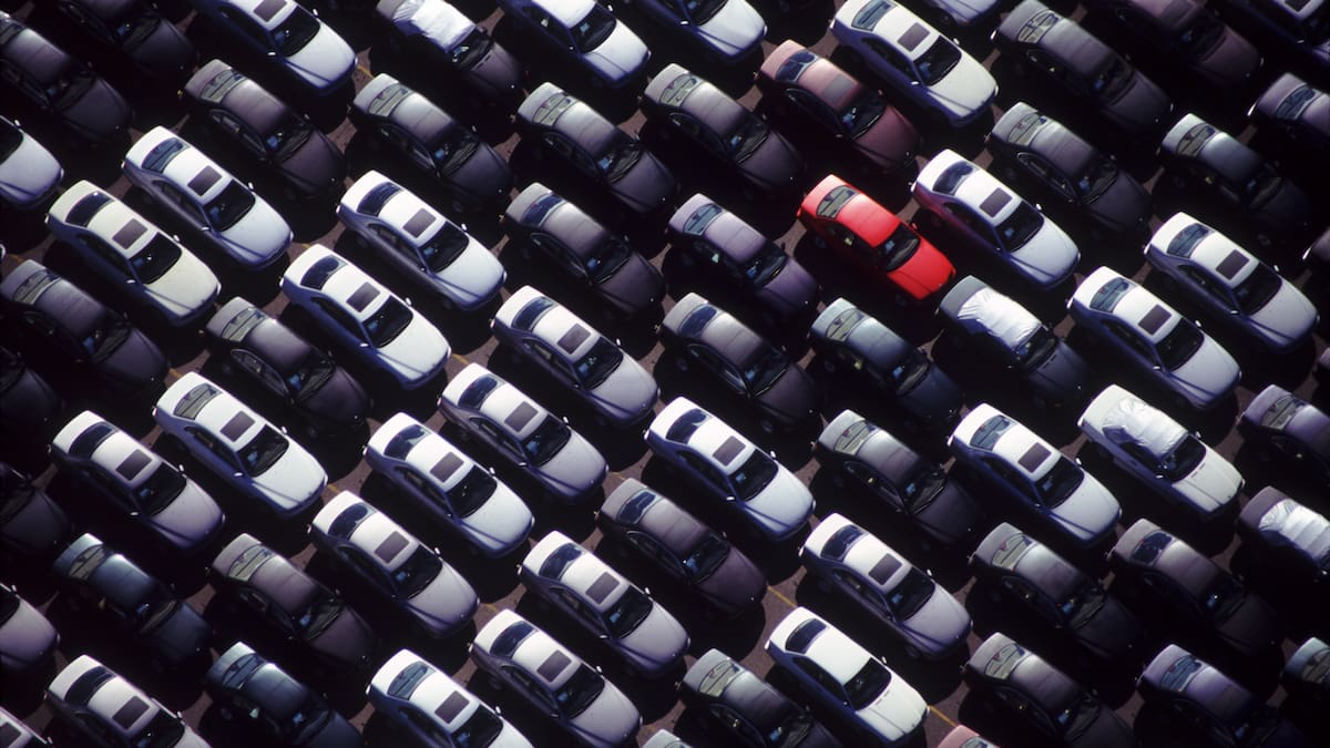 Marketing con Fran Torreblanca