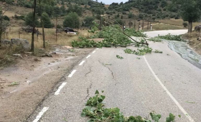 Daños en Pajarón tras la tormenta del lunes 3 de septiembre.