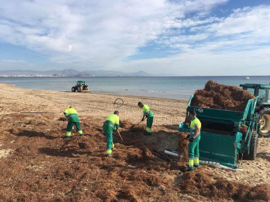 Equipo del ayuntamiento mejorando las playas