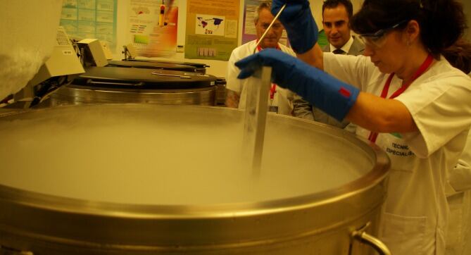 Banco de Cordón Umbilical