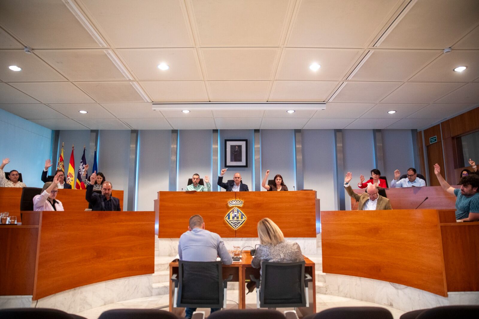 Imagen del pleno del Consell de Ibiza