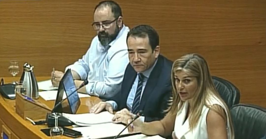 El Director General del IVF, Manuel Illueca, ha comparecido este martes en la comisión de Hacienda de les Corts Valencianes