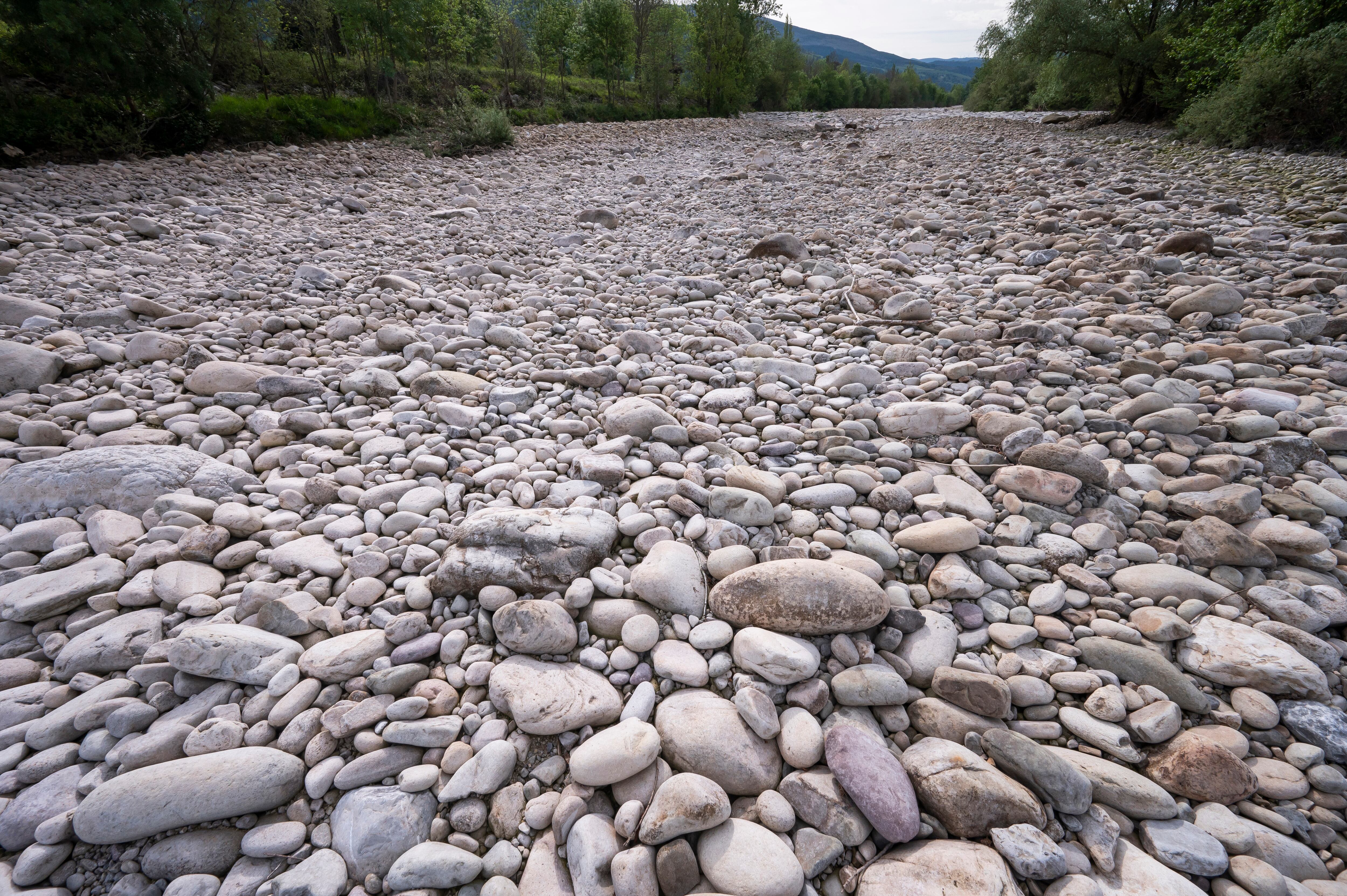 Bajo caudal por la sequía obliga al trasvase de peces en algunos ríos