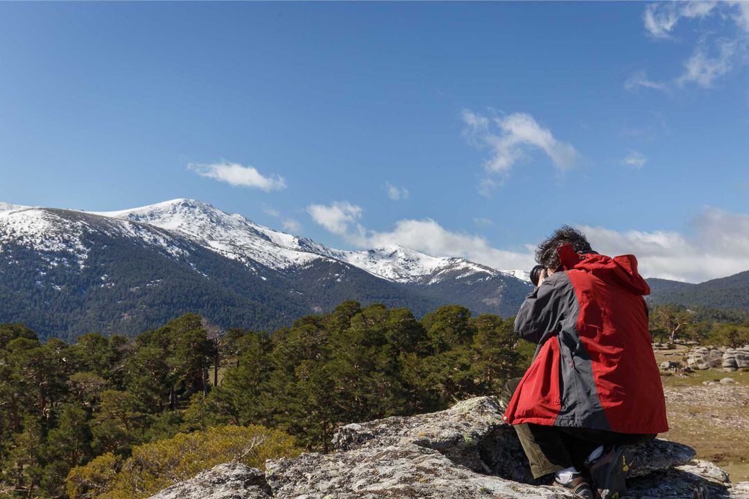 Una iniciativa social solicita la compra de este lugar de gran calidad paisajística y de salud ecológica para garantizar una buena gestión forestal